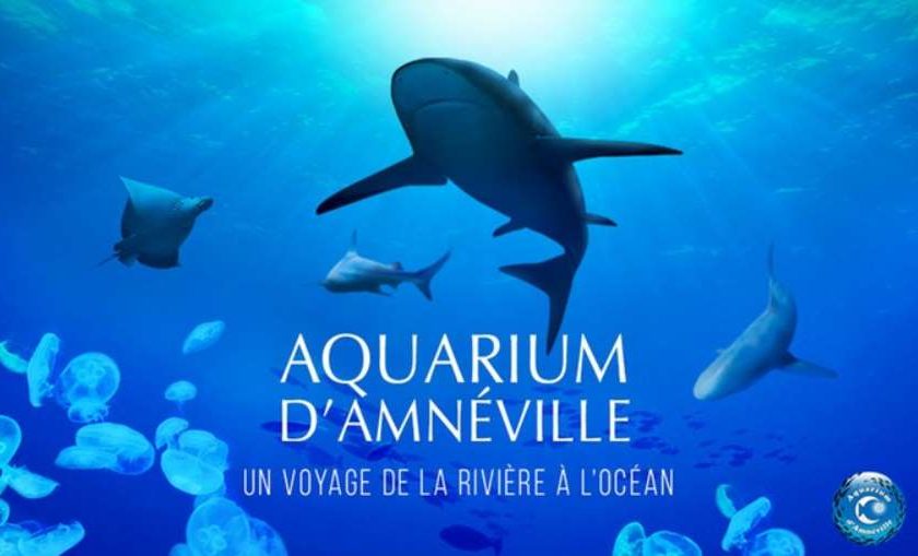 Billet entrée Aquarium d'Amnéville pas cher
