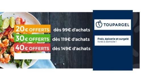 Remises Toupargel -20€ pour une commande de 99€