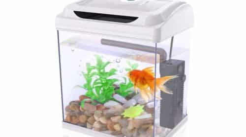 petit aquarium complet Dadypet pas cher