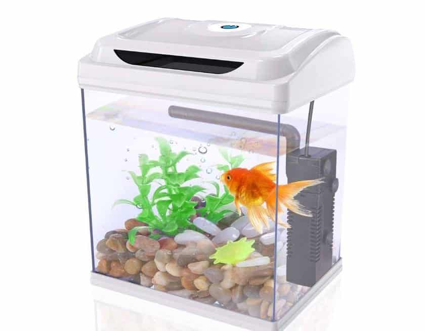 erosie Meesterschap burgemeester 22,19€ petit aquarium complet Dadypet (aquarium 3,8l + pompe à air, lampe,  fausse plante, galets)