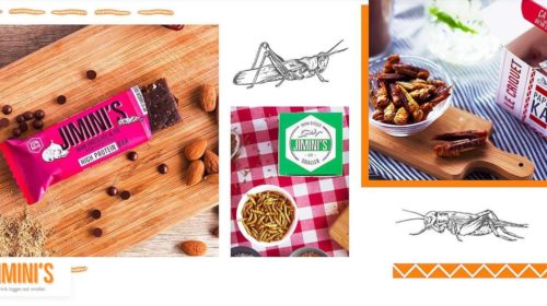 Vente privée insectes à manger Jimini’s pas cher