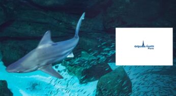 Aquarium de Paris pas cher : dés 16,90€ l’entrée nocturne avec boisson et 45€ Pass annuel