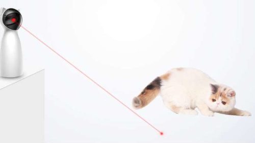 jouet point rouge pour chat Decdeal