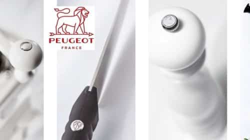 20€ De Remise Sur Peugeot Saveurs