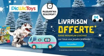 Livraison gratuite sans minimum sur PicWicToys (aujourd’hui seulement)