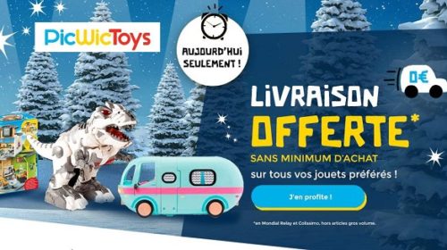 Livraison Gratuite Sans Minimum Sur Picwictoys