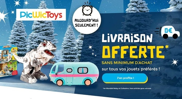 Livraison Gratuite Sans Minimum Sur Picwictoys