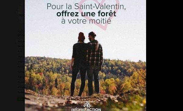 Saint Valentin écolo Offrez Un Ou Des Arbres à Votre Moitié