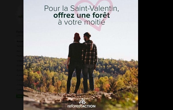 Saint Valentin écolo Offrez Un Ou Des Arbres à Votre Moitié