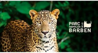 Billet Zoo de la Barben moins cher : 8€ enfant / 15€ adulte