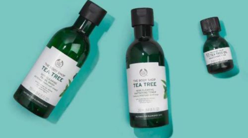 Livraison Domicile Gratuite Sans Minimum Sur The Body Shop