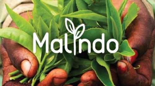 Livraison Gratuite sur Les Tisanes, Rooibos Et Thés Bio Malindo