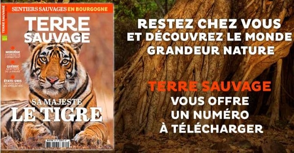 Téléchargez Gratuitement Un Numéro Du Magazine Terre Sauvage