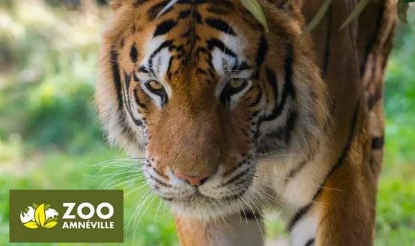 Zoo Amnéville moins cher ! à partir de 21,99€