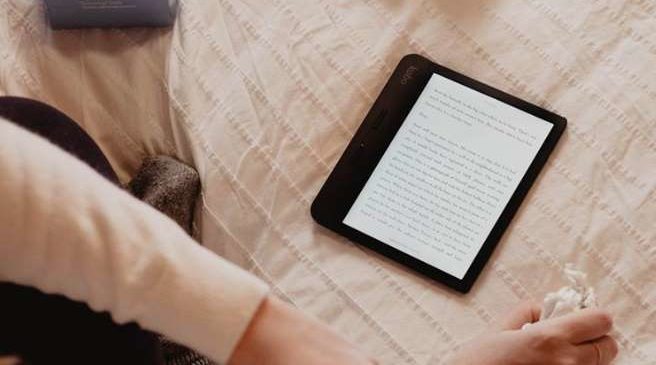 Télécharger Des Livres Numériques (ebooks) Gratuits Par Dizaines Sur Rakuten Kobo