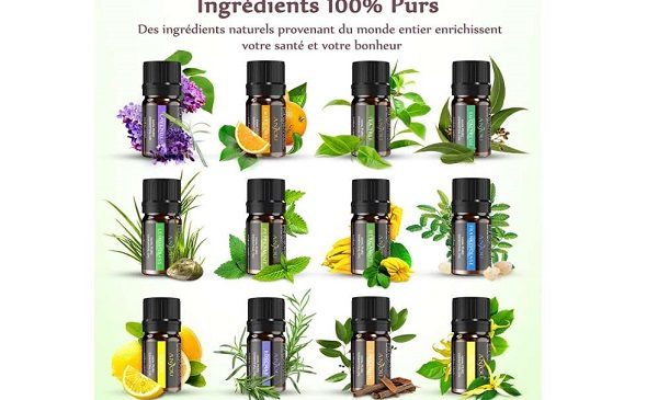 Aromathérapie Lot De 12 Flacons D’huiles Essentielles 5ml 100% Anjou