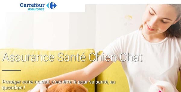 Assurance Santé Chien Chat Sur Carrefour Assurance