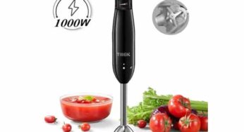 CUISINE: 16,99€ le mixeur plongeant 1000W TIBEK ( 4 vitesses)