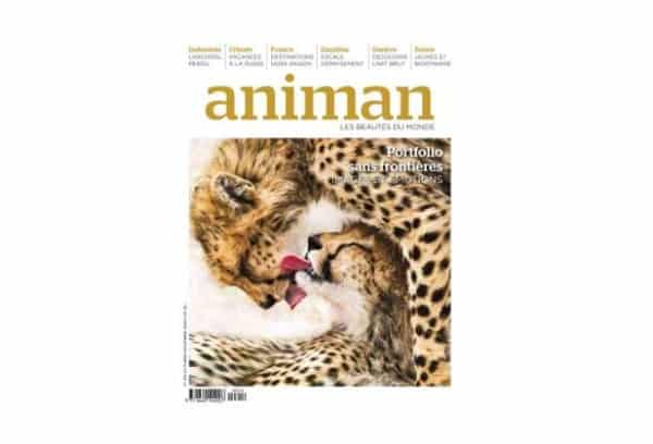 abonnement animan magazine pas cher