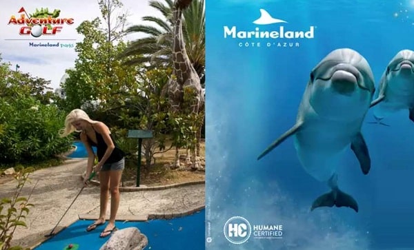 Billet Parc Marineland Et Adventure Golf Moins Cher