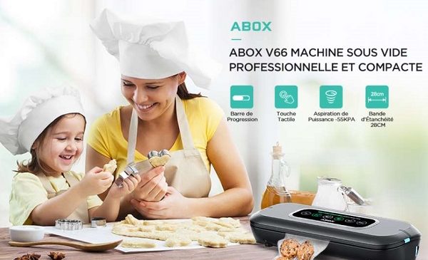 Machine Sous Vide Automatique Alimentaire Abox V66