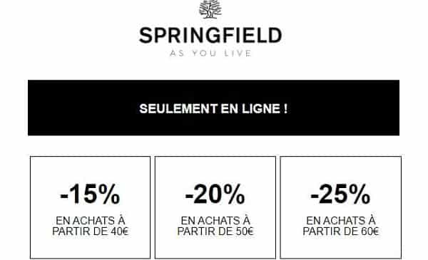 15% à 25% De Reduction Avec Les Remises Paliers De Springfield