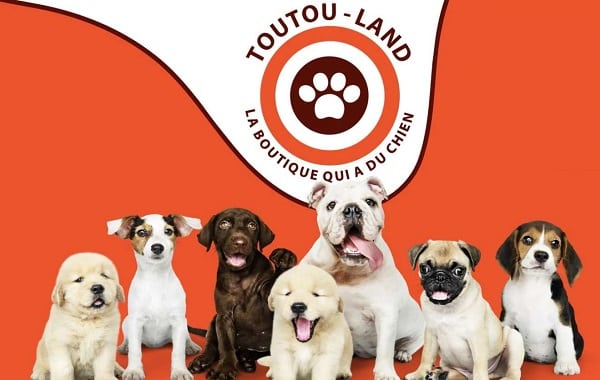 20% de remise sur Toutouland même promotion + livraison gratuite (accessoires pour chien)🐶