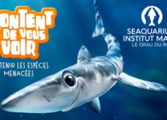 aquarium seaquarium du grau du roi pas cher