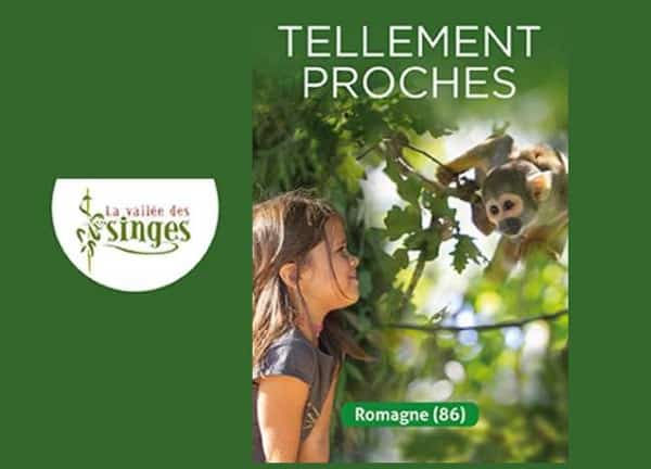 Vente de billet d’entrée la Vallée des Singes moins cher : dès 12,50€ (valable du 6 février au 14 novembre 2021)