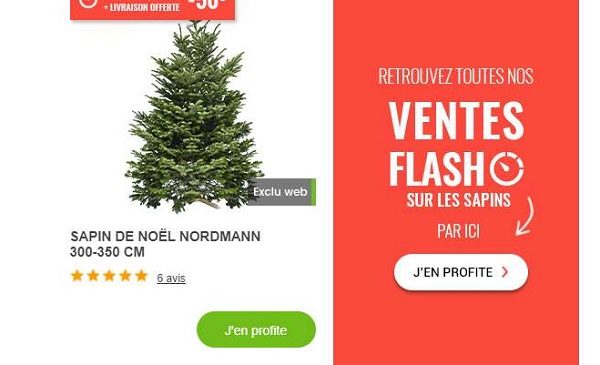 Vente Flash Sapins Naturels Nordmann Livré Chez Vous Gamm Vert