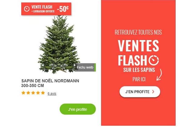 Vente Flash Sapins Naturels Nordmann Livré Chez Vous Gamm Vert