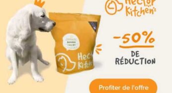 50% de remise sur votre commande de croquettes pour chien ou chat Hector Kitchen (livraison gratuite) + 1 surprise
