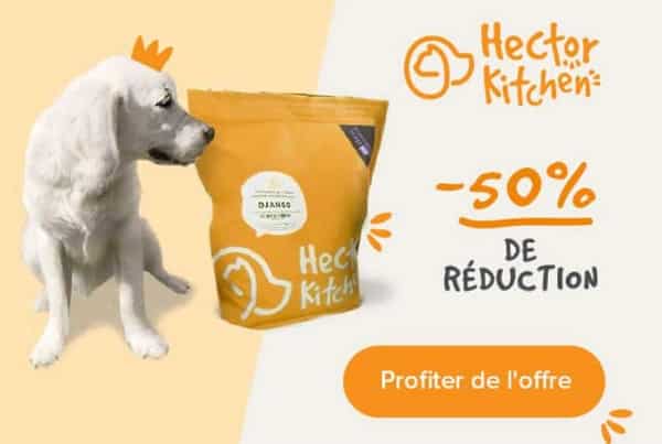 50% de remise sur votre commande de croquettes pour chien hector kitchen