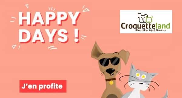 offre happy days croquetteland offre happy days croquetteland
