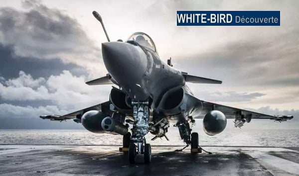 offre spéciale simulateur d’avion de chasse pas cher white bird