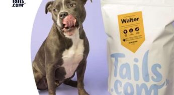 2 semaines gratuites de croquettes pour chien Tails + livraison pour 1€