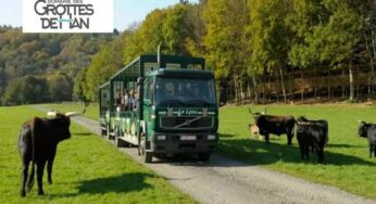 Entrée pas chère pour le parc animalier du domaine des Grottes de Han : 19,50€ au lieu de 29€