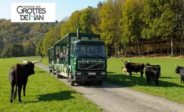 Entrée pas chère pour le parc animalier du domaine des Grottes de Han