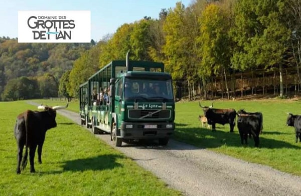 Entrée pas chère pour le parc animalier du domaine des Grottes de Han : 17,99€ au lieu de 27€