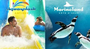 Offre billet combiné pour Marineland et Aquasplash : 39,5€ (tarif unique)
