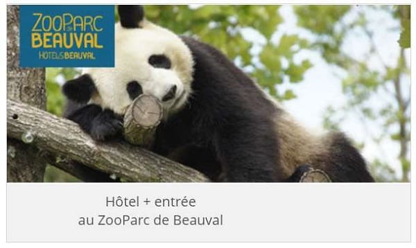 promotion séjour zooparc de beauval (hôtel + entrée) avec leclerc voyages