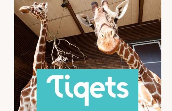 remise sur les billets d'entrée zoos & aquariums dans le monde avec tiqets