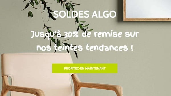 Achetez votre peinture écologique moins chère pendant les soldes peinture Algo