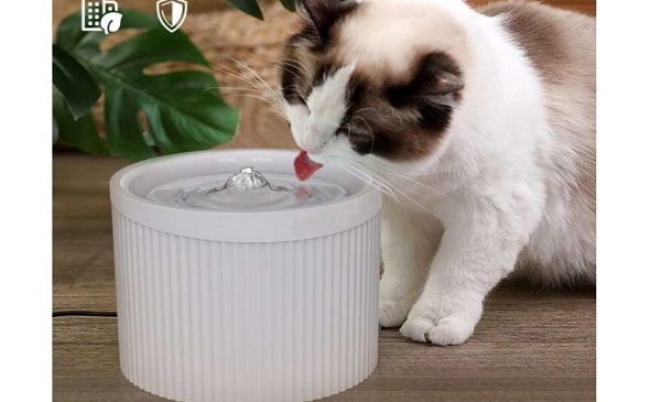 fontaine à eau chat chien électrique avec filtre charbon floomp