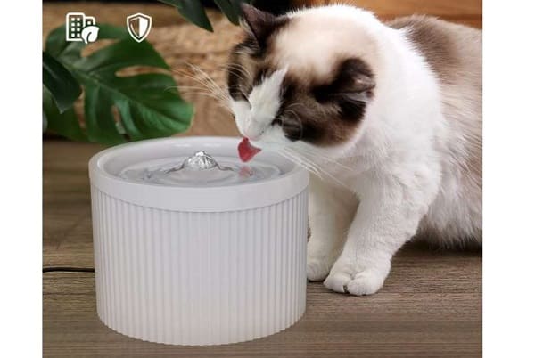 PROMO : 16,29€ la fontaine à eau chat-chien électrique avec filtre charbon Floomp