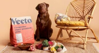 Remise de 50% sur votre 1ére commande d’alimentation adaptée pour chien Veeto (100% fabriqué en France)