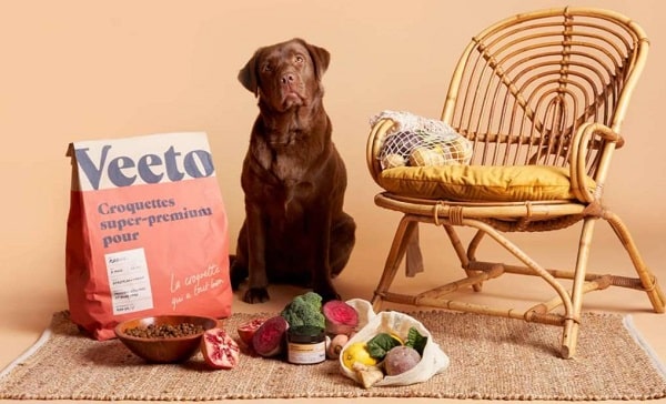 remise de 50% sur votre 1ére commande d'alimentation adaptée pour chien veeto