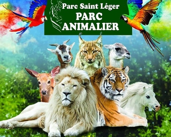 Billet Parc Saint-Léger Grands Félins moins cher : 12€ au lieu de 18€ 🐅