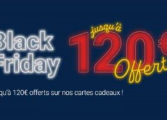 black friday vol avion de tourisme wingly