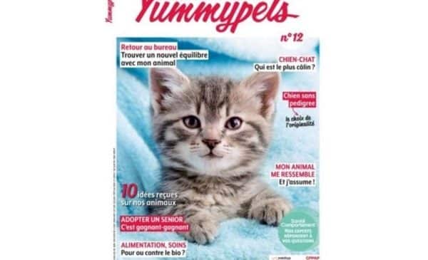 Abonnement au magazine Yummy Pets pas cher